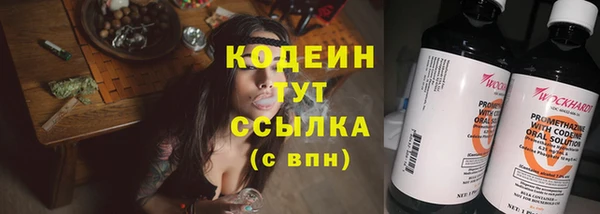 прущий лед Арсеньев