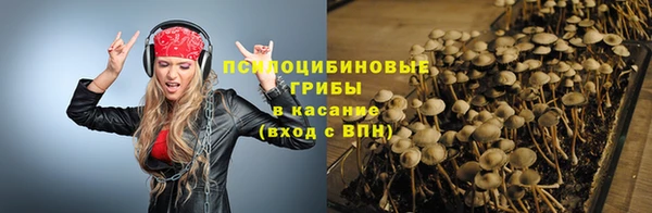 прущий лед Арсеньев