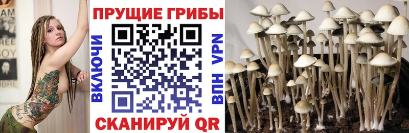это наркотические препараты Бор Галлюциногенные грибы мухоморы
